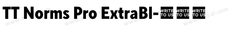 TT Norms Pro ExtraBl字体转换 TT Norms Pro ExtraBl字体转换